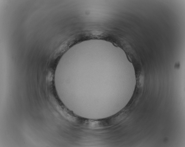 X0000111640472200908141412