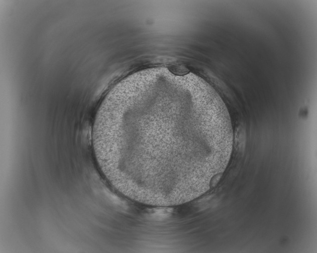 X0000111640474200908141412