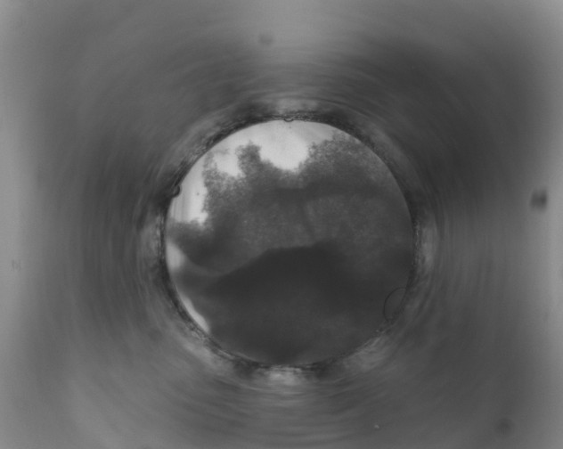 X0000111640475200908141412