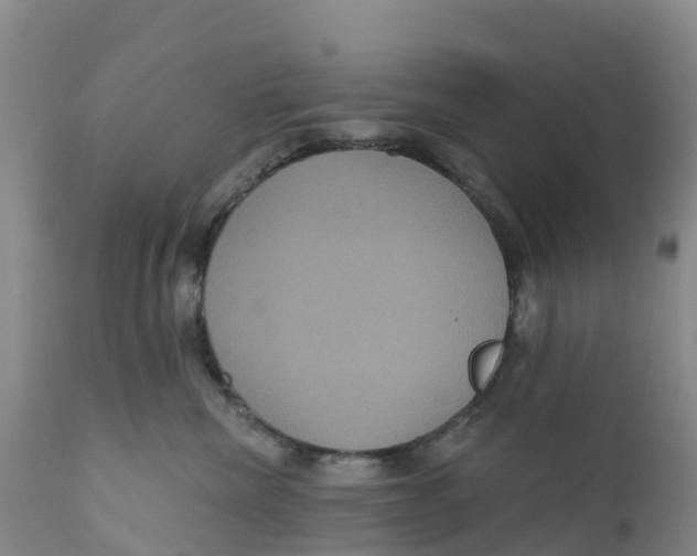 X0000111640476200908141412