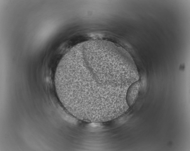 X0000111640477200908141412