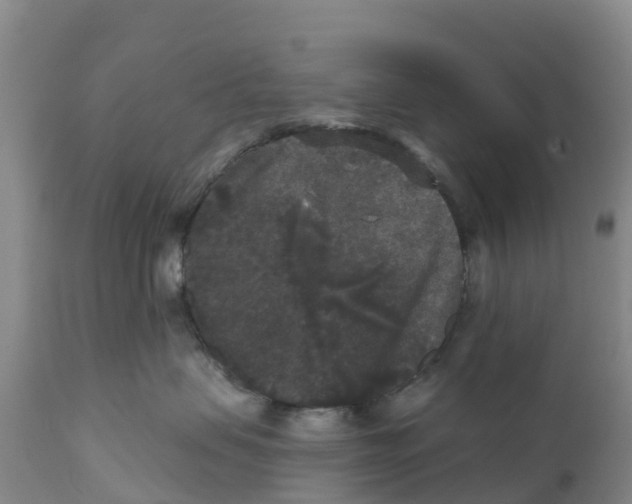 X0000111640479200908141412