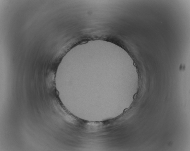 X0000111640480200908141412