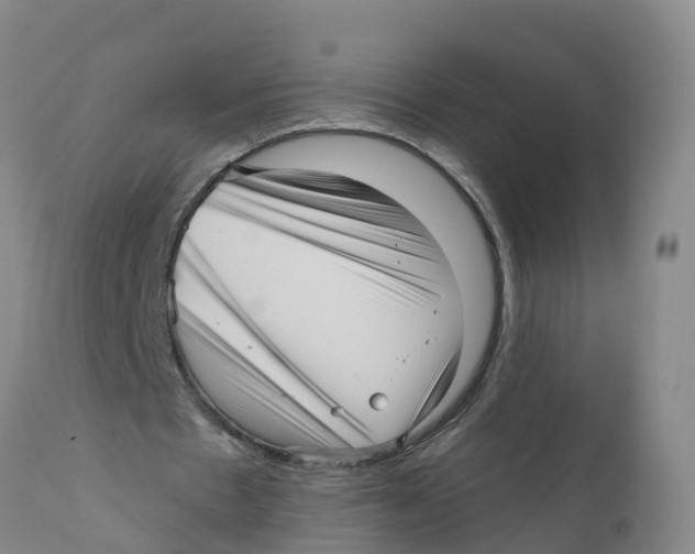 X0000111640481200908141411