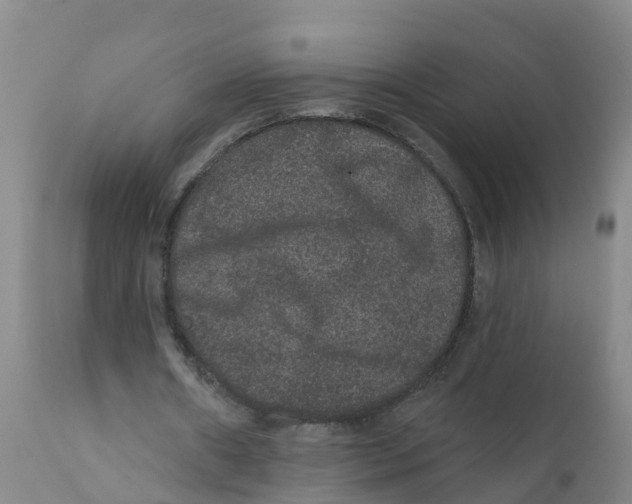 X0000111640482200908141411