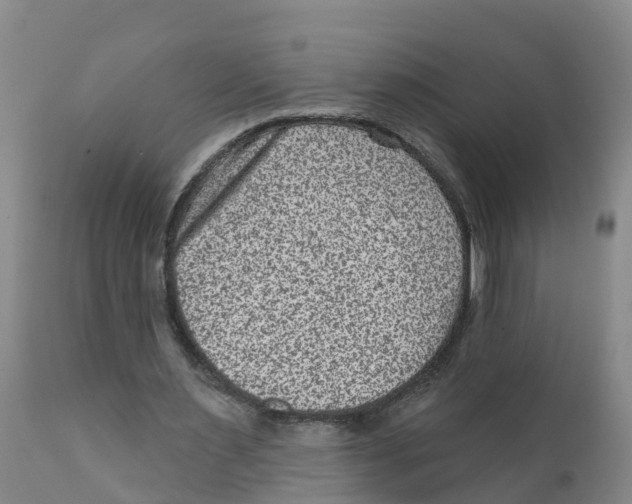 X0000111640483200908141411