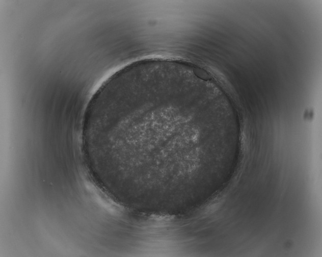 X0000111640484200908141411