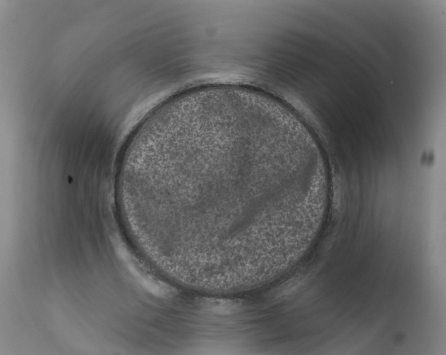 X0000111640486200908141411