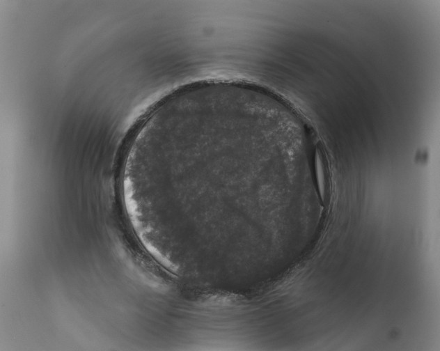 X0000111640488200908141411