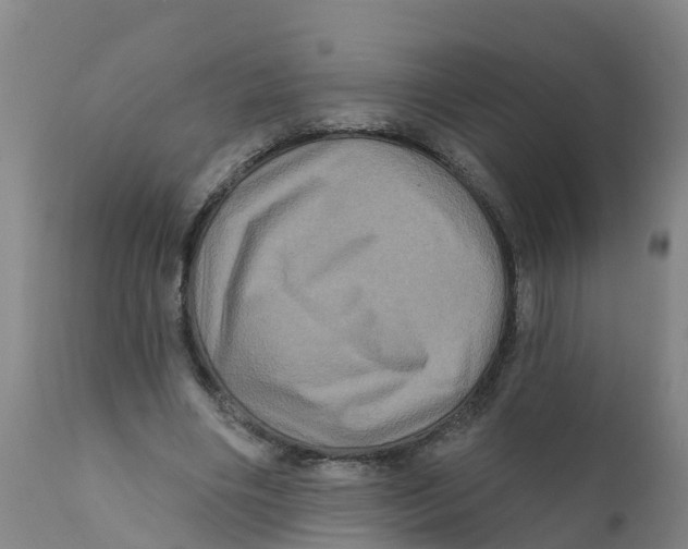 X0000111640490200908141411