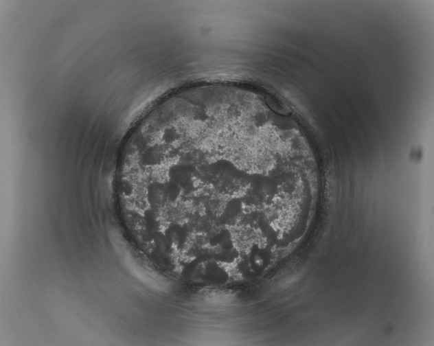 X0000111640491200908141411