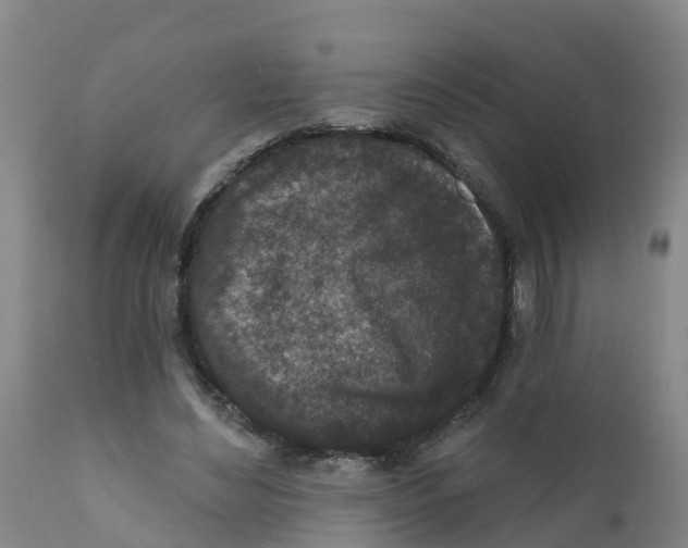 X0000111640492200908141411