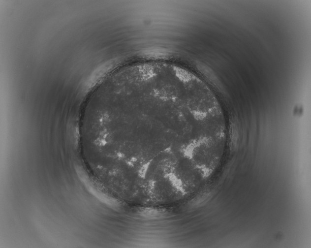 X0000111640494200908141411