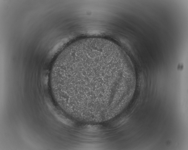 X0000111640495200908141411