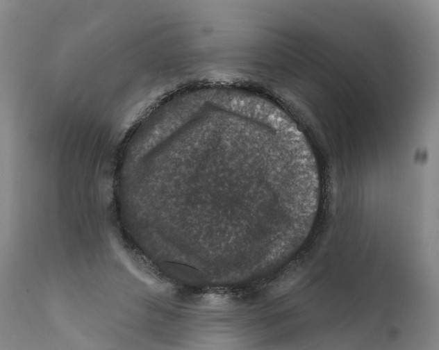X0000111640496200908141411
