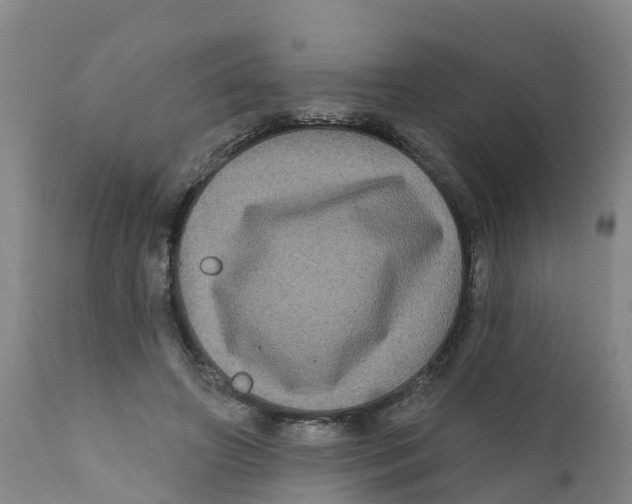 X0000111640498200908141411