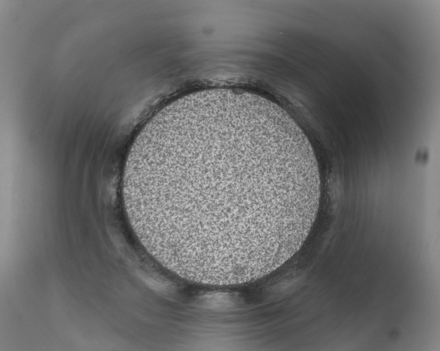 X0000111640499200908141411