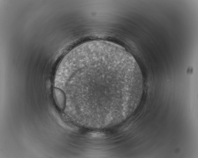 X0000111640500200908141411