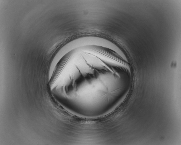 X0000111640501200908141411