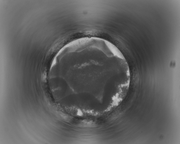 X0000111640502200908141411