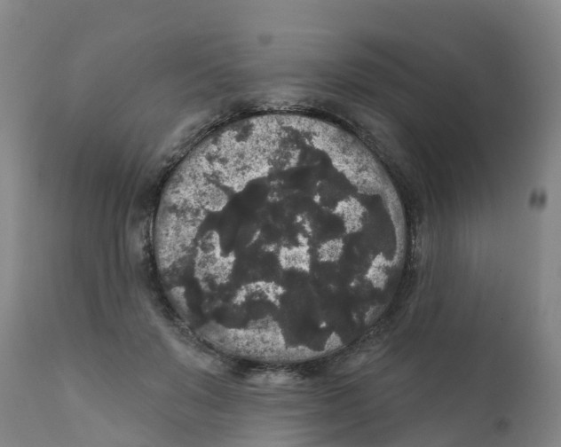 X0000111640503200908141410