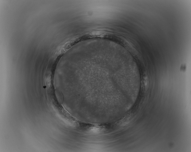 X0000111640504200908141410