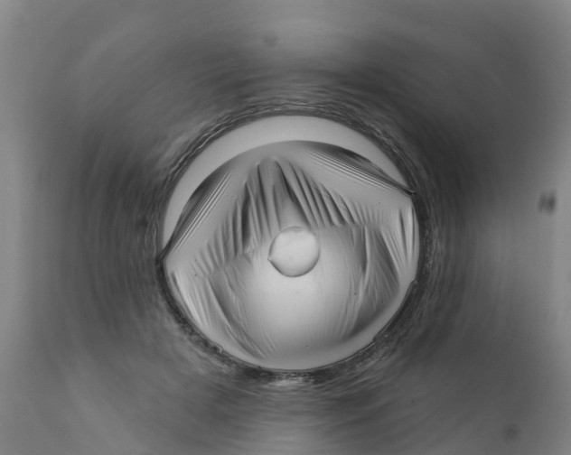 X0000111640505200908141410
