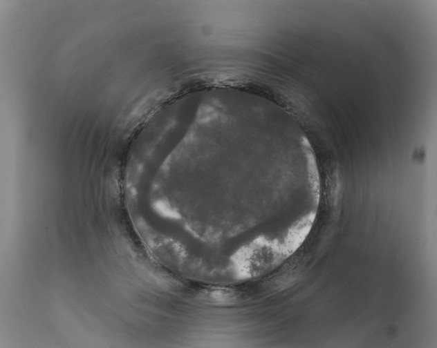 X0000111640506200908141410