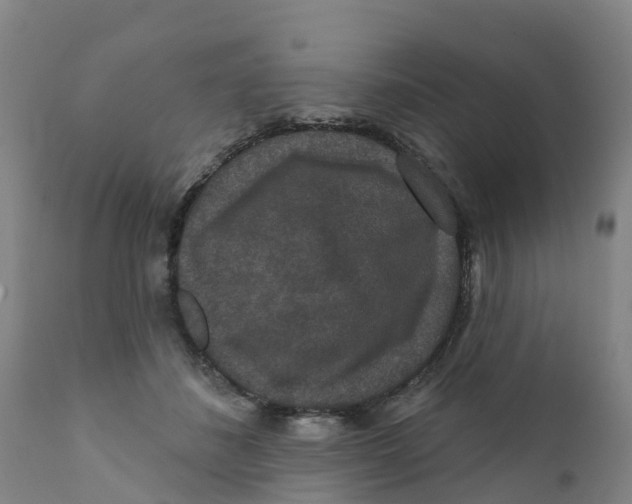 X0000111640508200908141410