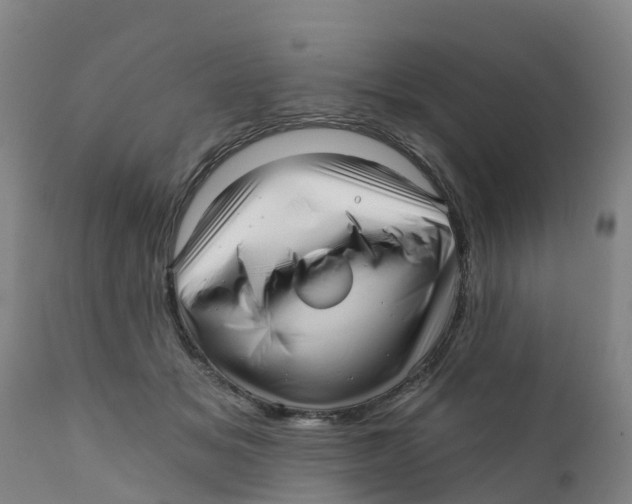 X0000111640509200908141410