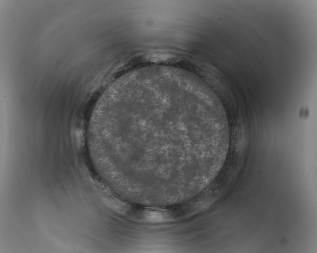 X0000111640510200908141410
