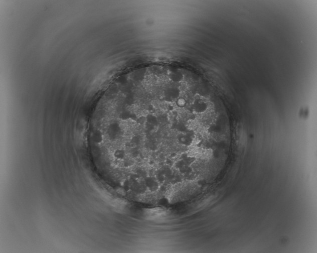 X0000111640511200908141410