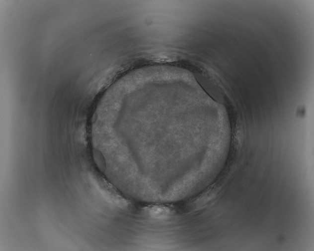 X0000111640512200908141410