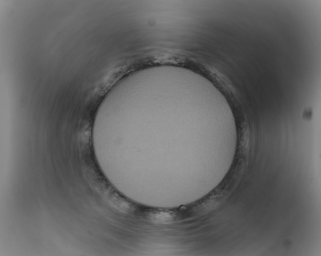 X0000111640513200908141410