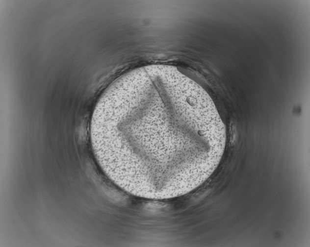 X0000111640515200908141410