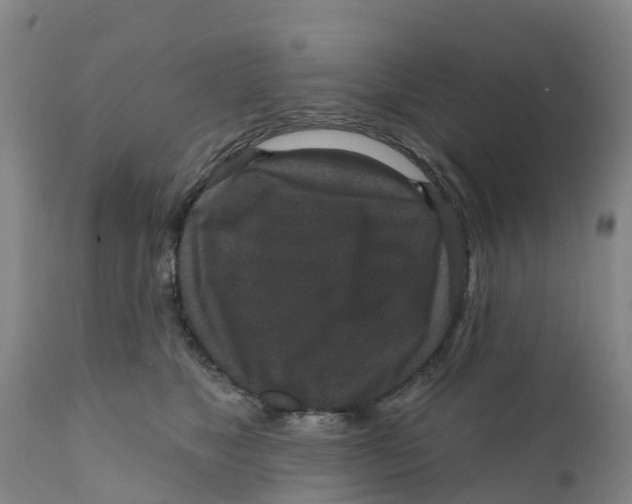 X0000111640517200908141410