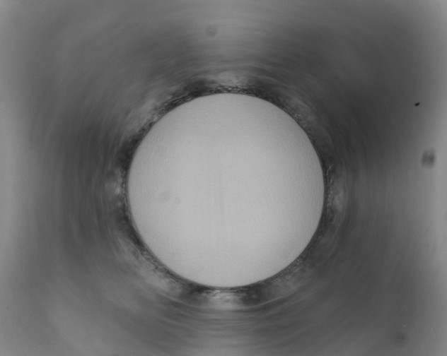 X0000111640518200908141410