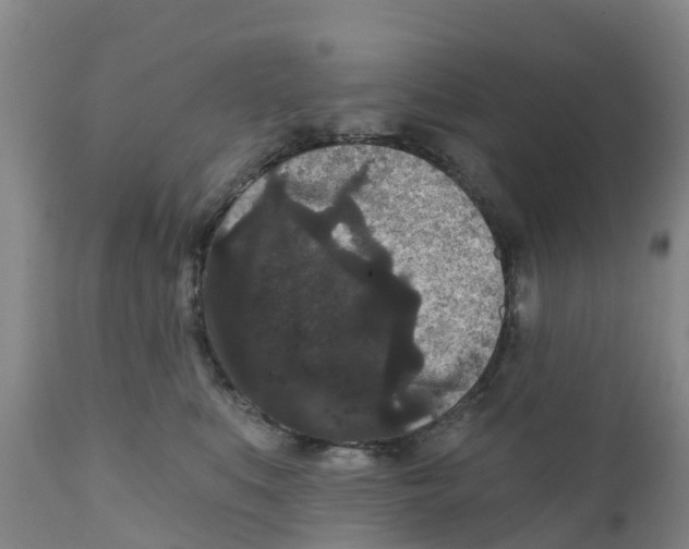 X0000111640519200908141410