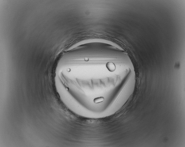 X0000111640520200908141410