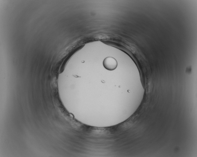 X0000111640521200908141410