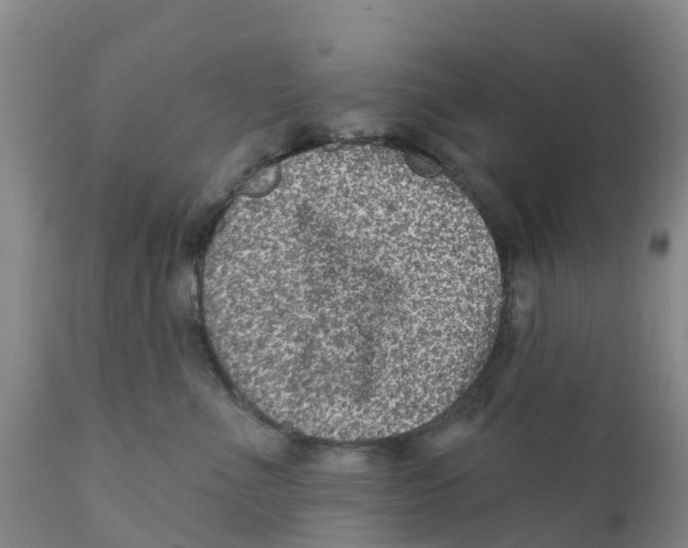 X0000111640523200908141410