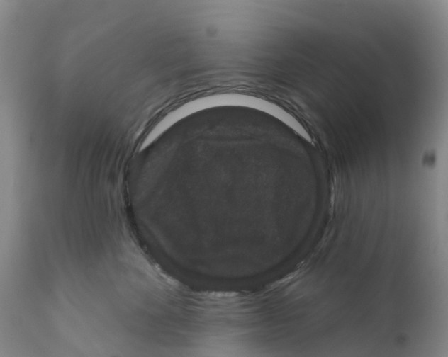 X0000111640524200908141410