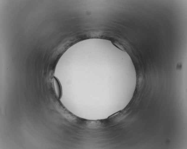 X0000111640525200908141410