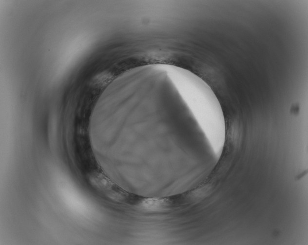 X0000111640526200908141410