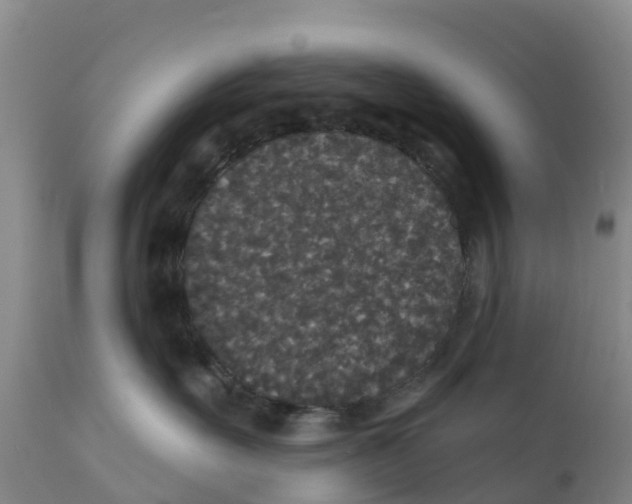 X0000111640527200908141410