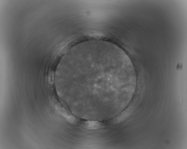 X0000111640528200908141410