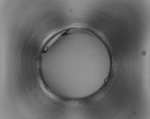 X0000111640530200908141409