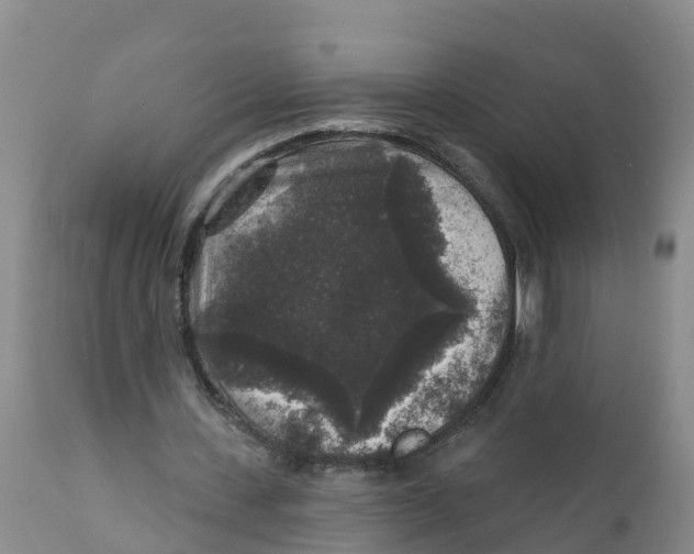 X0000111640531200908141410