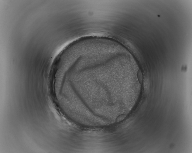 X0000111640532200908141410