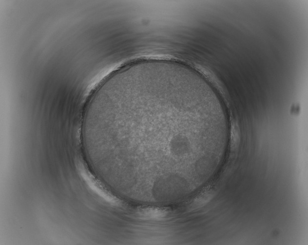 X0000111640533200908141410
